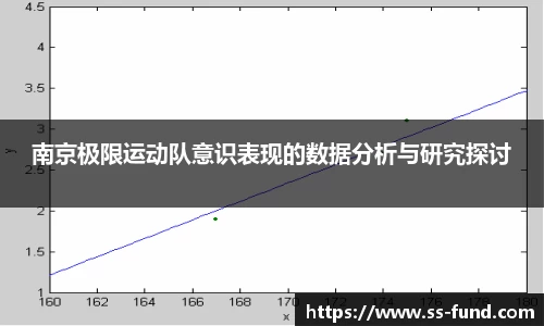 南京极限运动队意识表现的数据分析与研究探讨