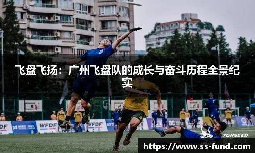 Vsport下载