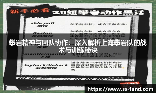Vsport下载
