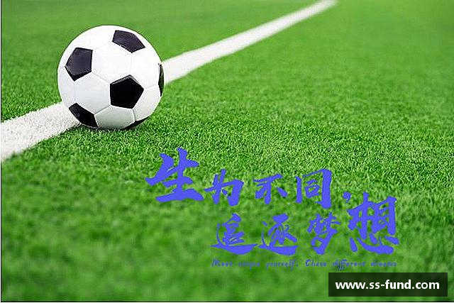 发现Vsport官网